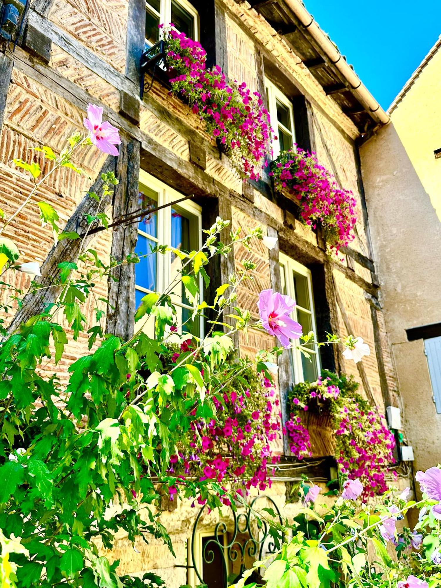 Bed and Breakfast Le Logis Plantagenet Bergerac Exterior foto